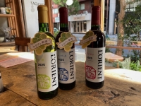 日本のワイン、新酒が届きました!