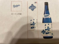 ʿեɬȬ֥롼ܥȥ롡ɥ꡼ͥǰ٥