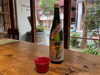 え、え、え、もうひやおろし!加賀鳶ひやおろし、入荷!