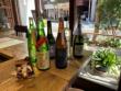 2024年　日本酒　新酒のご案内